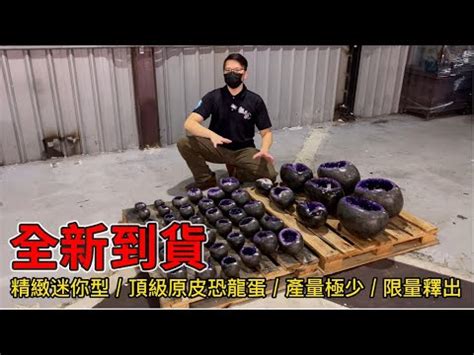 恐龍蛋功效|【水晶恐龍蛋功效】水晶恐龍蛋：你不可不知的開運秘密，揭開其。